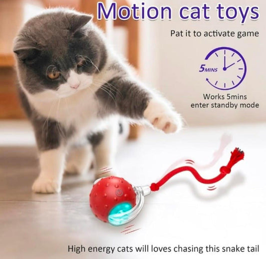 Interactive Cat Teaser Ball