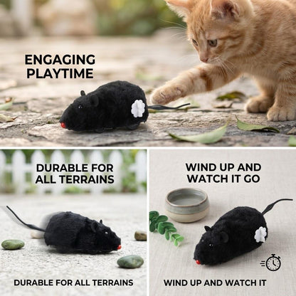 PawzzelTV Running Mouse™ – Interactive Moving Toy for Cats