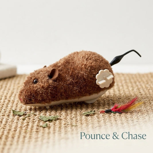 PawzzelTV Running Mouse™ – Interactive Moving Toy for Cats