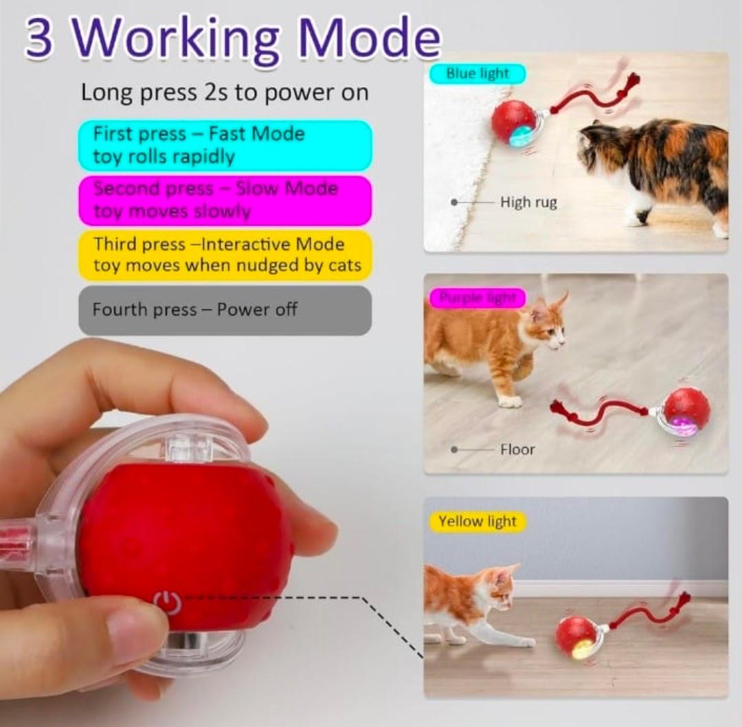 Interactive Cat Teaser Ball