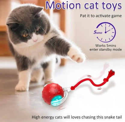 Interactive Cat Teaser Ball