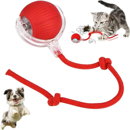 Interactive Cat Teaser Ball